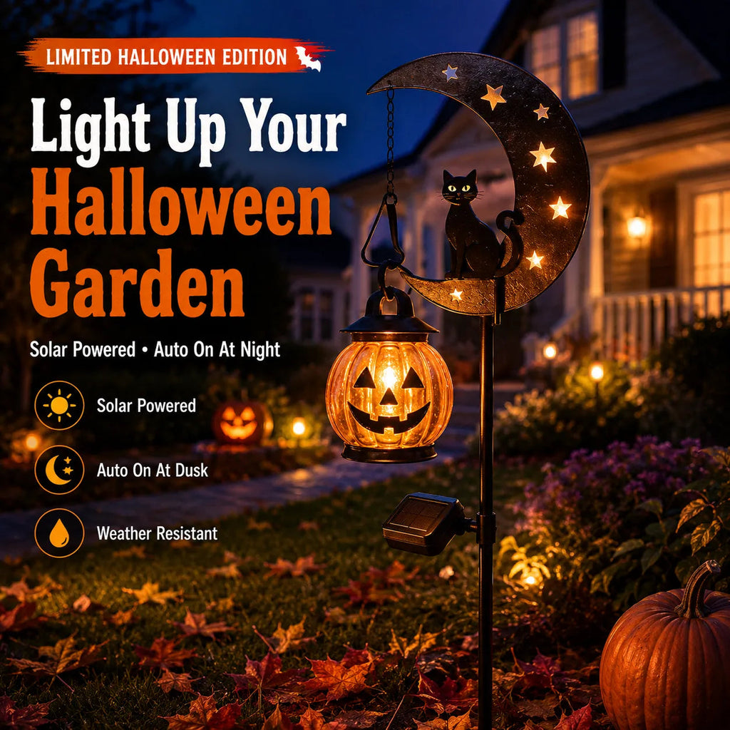 🎃 Halloween Early Bird Sale | 49% OFF 🐈‍⬛ Pumpkin Moon Garden Stake Light